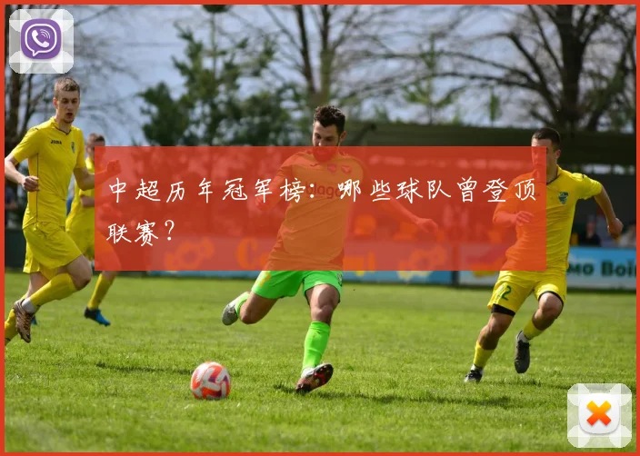 中超历年冠军榜:哪些球队曾登顶联赛?